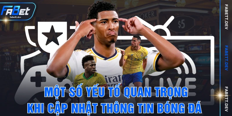 Một số yếu tố quan trọng khi cập nhật thông tin bóng đá 